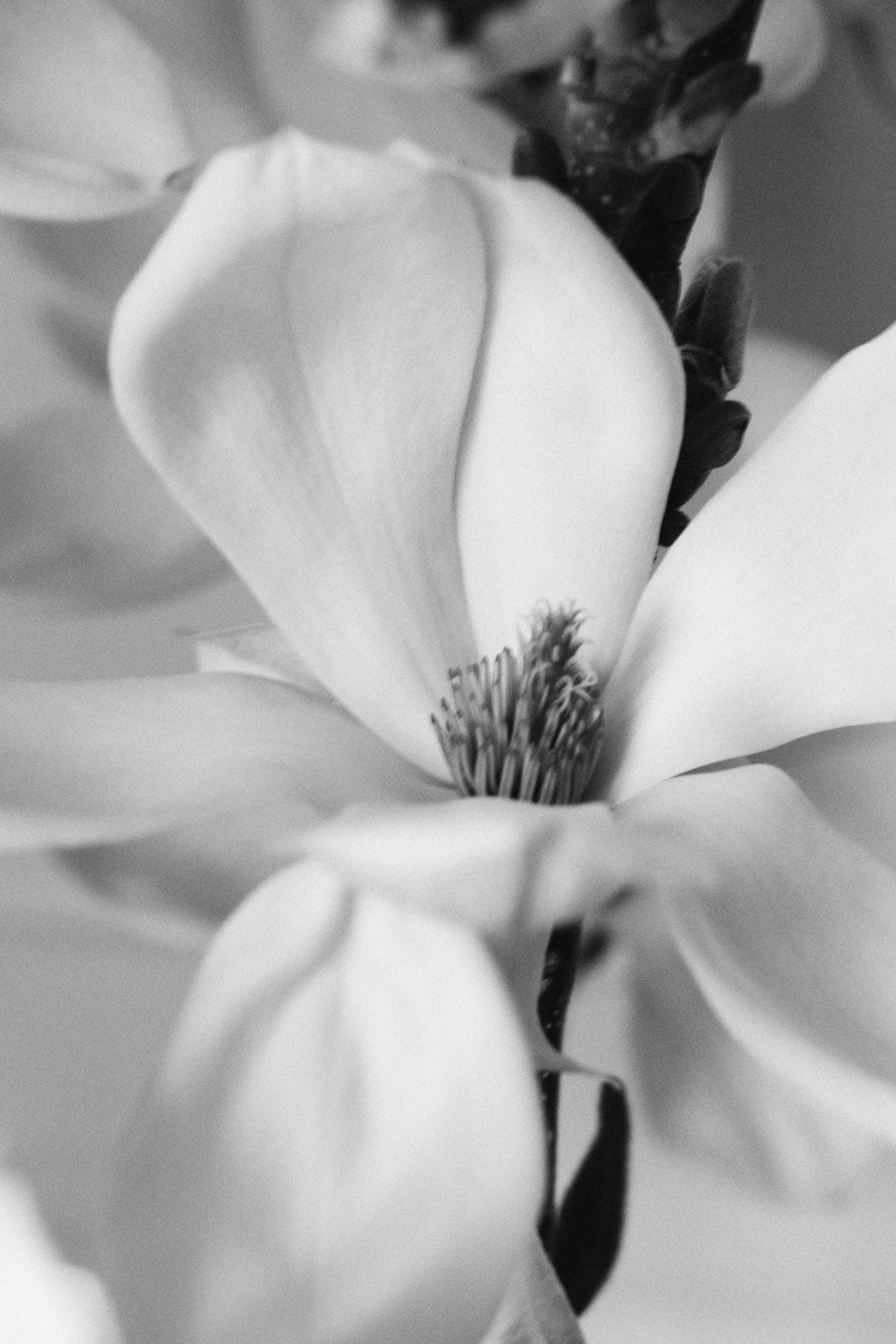 Un Jour Blanc — 